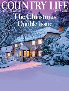 Country Life December 16 Christmas double issue