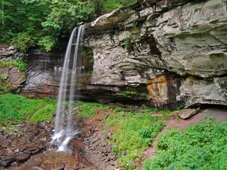 Monongahela National Forest