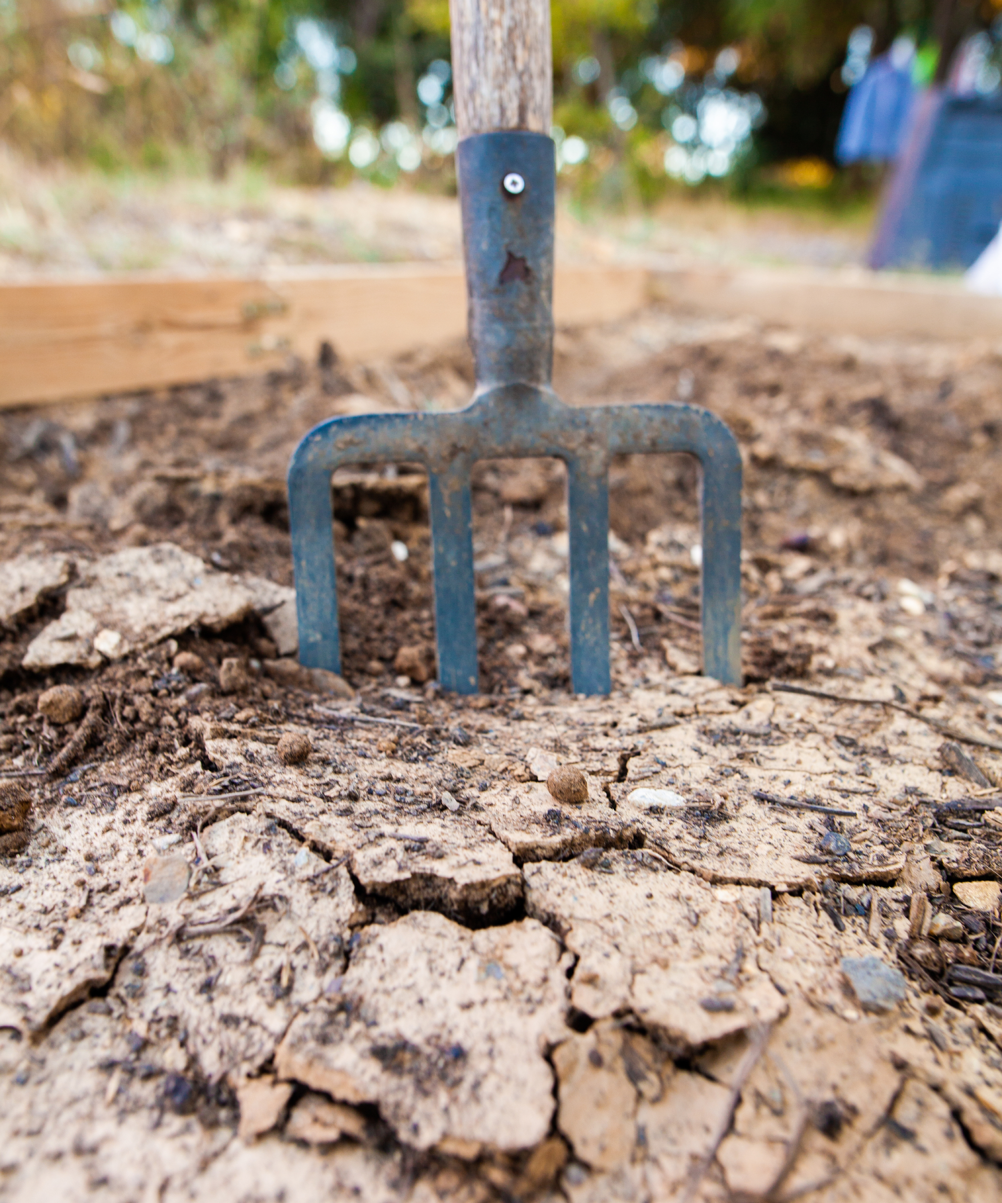 pitchfork sticking out of dry soil