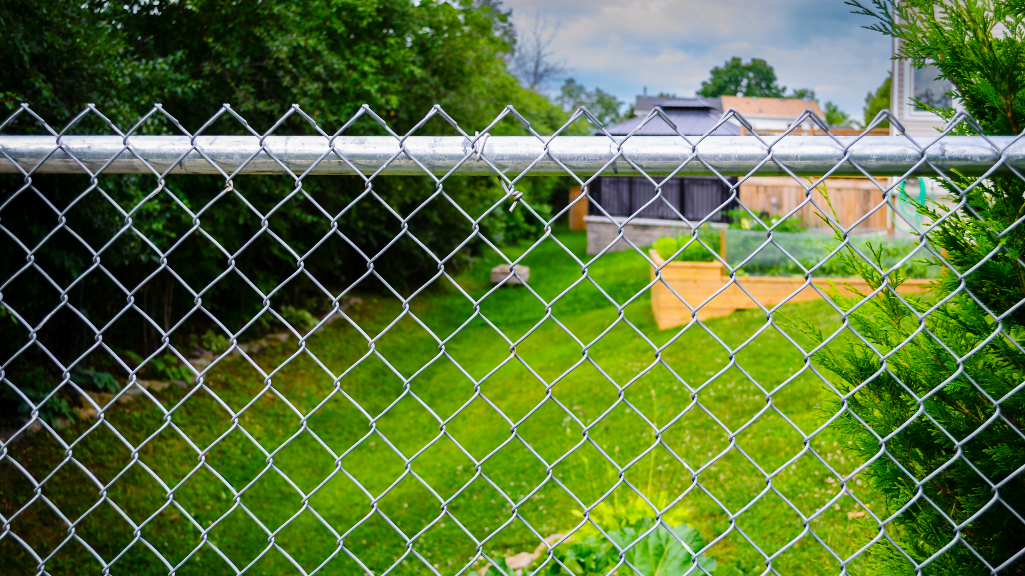 chainlink fence in backyard
