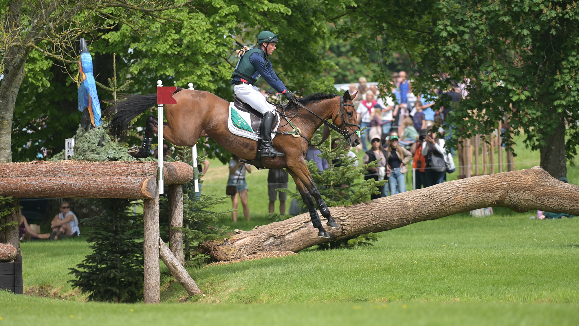 Sam Watson and Ballyneety Rocketman jump a cross-country fence at Badminton Horse Trials 2026.