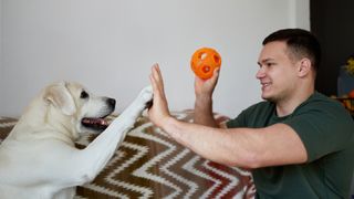 A smiling man gives his dog a high five and offers him a ball