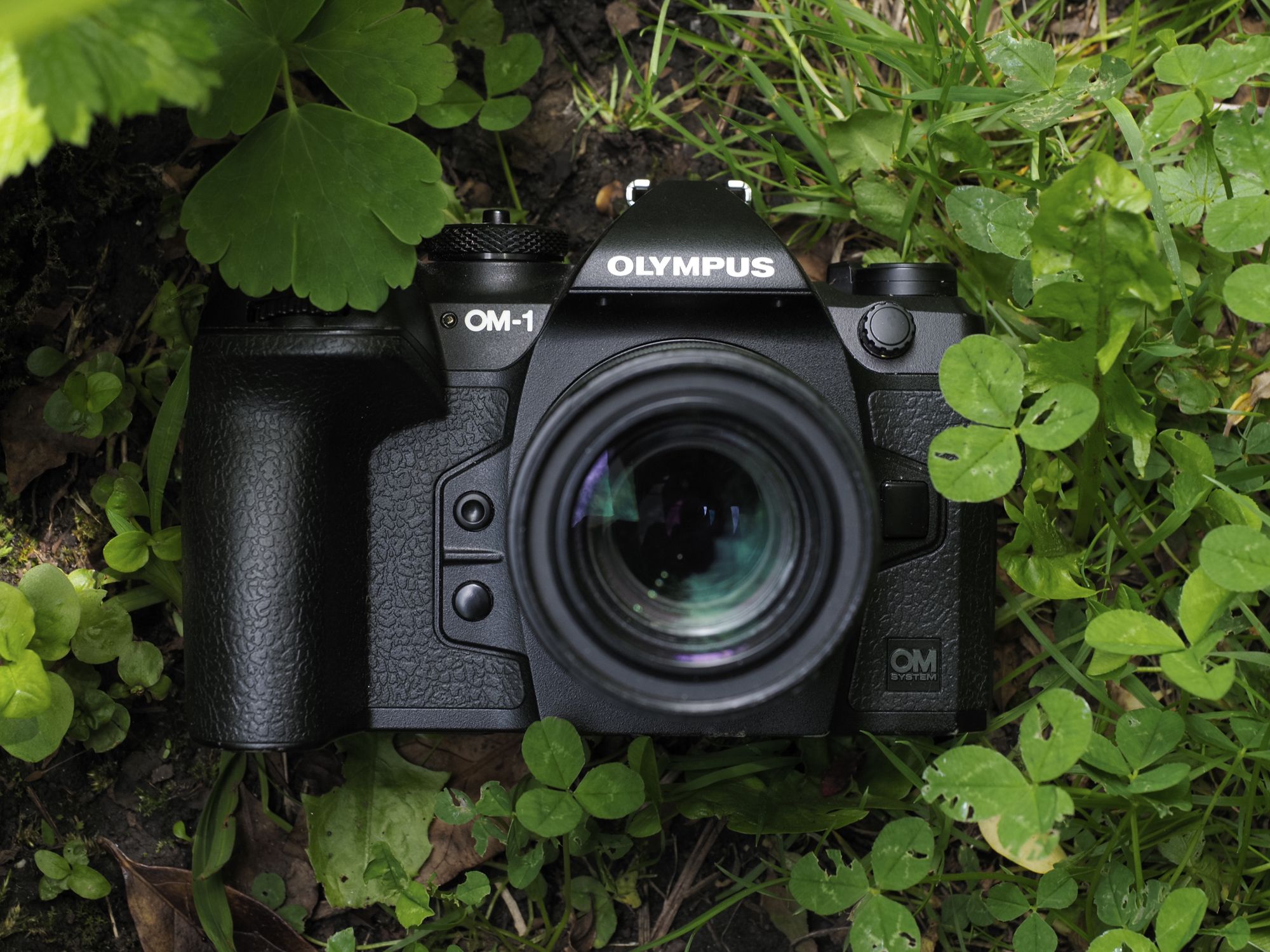 【動作確認済】 Olympus OM-1 G0226-230-1p 動作確認済】 Olympus OM-1 G0226-230-1p 動作確認済】 Olympus OM-1