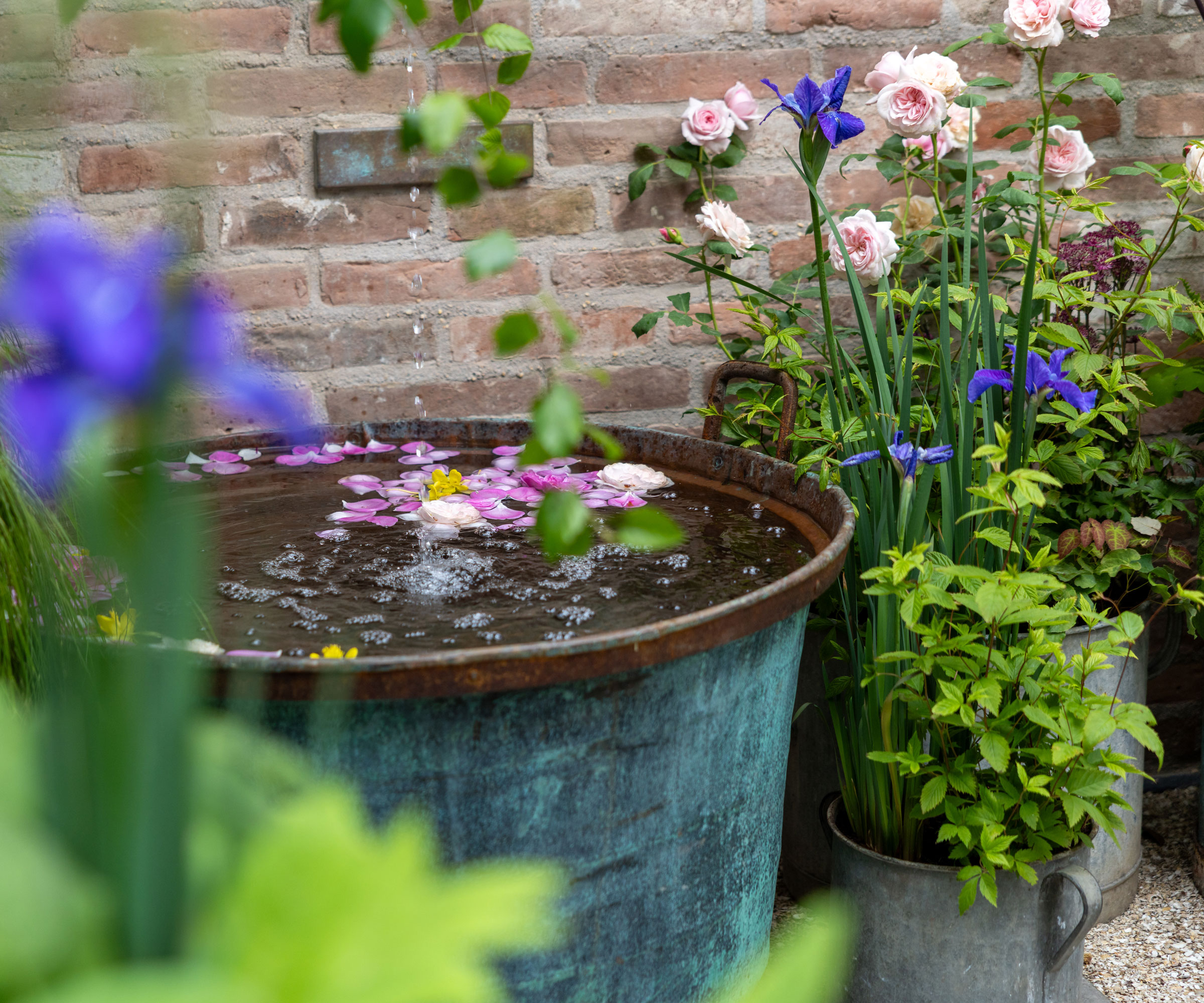 micropond design with flowers