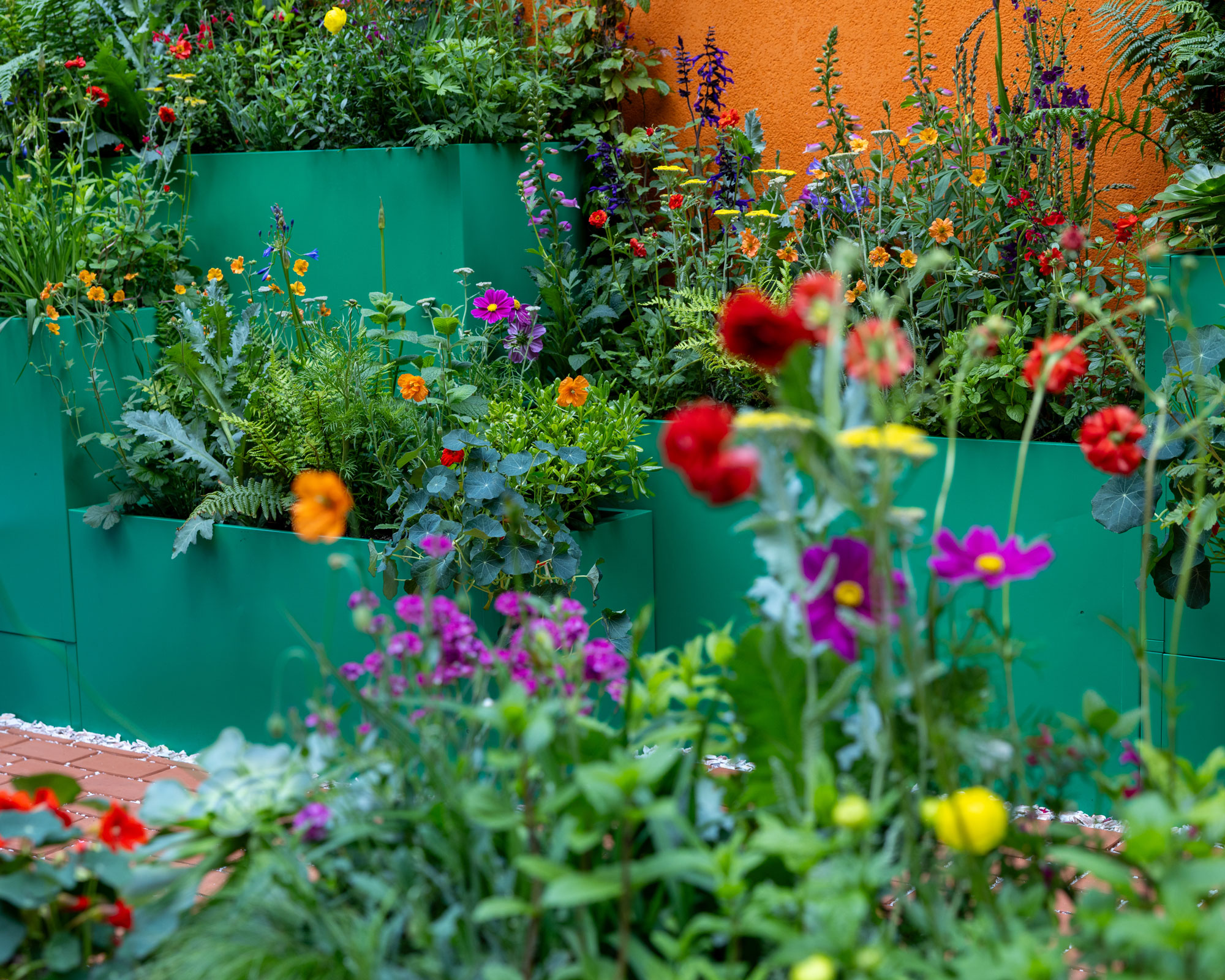 raised beds made from repurposed filing cabinets painted green and filled with summer flowers