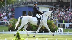 Fiona Kashel and Creevagh Silver De Haar at Badminton Horse Trials.