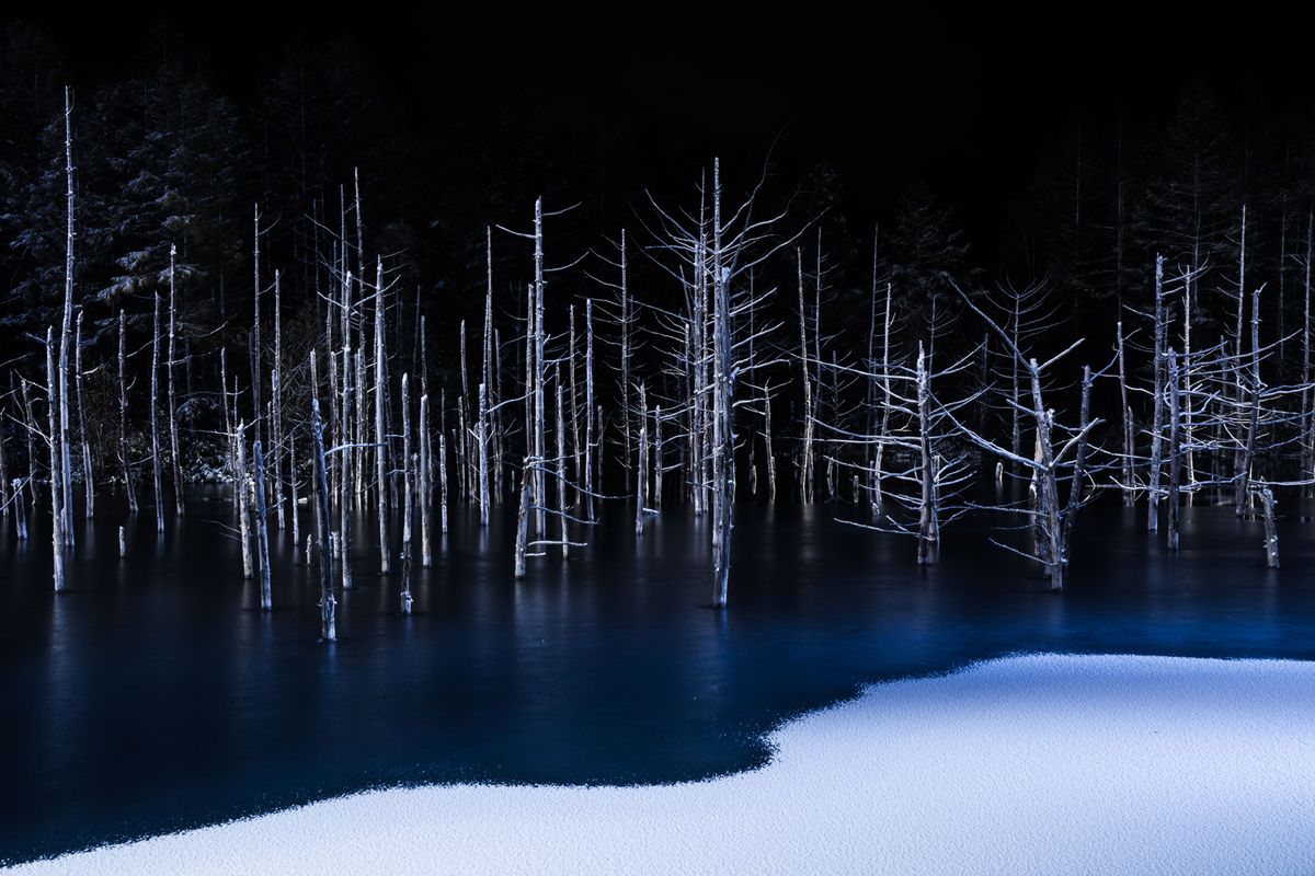 &copy; Hiroshi Tanita, Japan, 1st Place, Open, Nature, 2017 Sony World Photography Awards