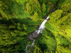 Cascata do Grena in Grena park on San Miguel