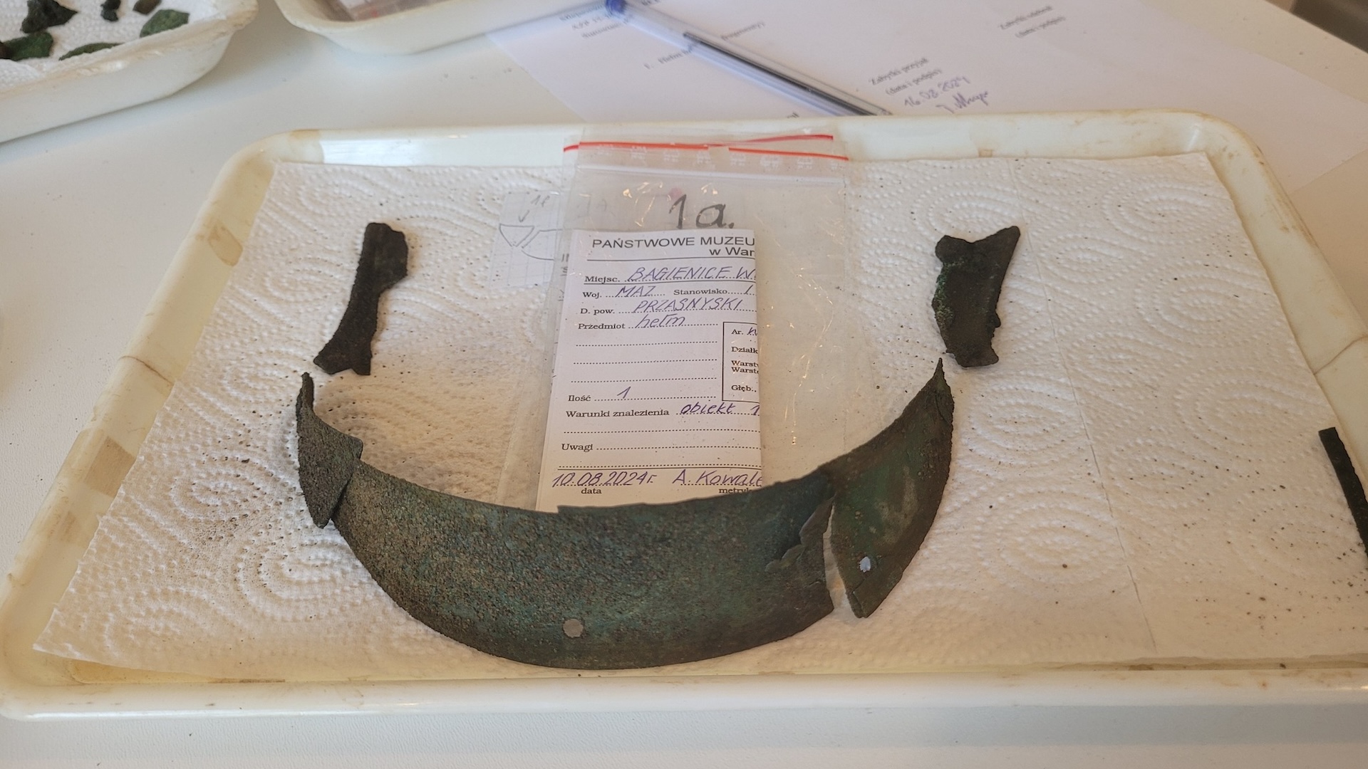 A crescent-shaped piece of the helmet on a tray in an archaeology lab