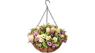 best hanging flowers