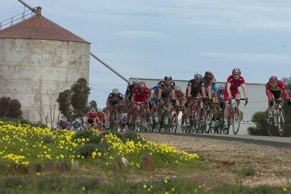 The peloton at the half-way mark in Patchewollock.