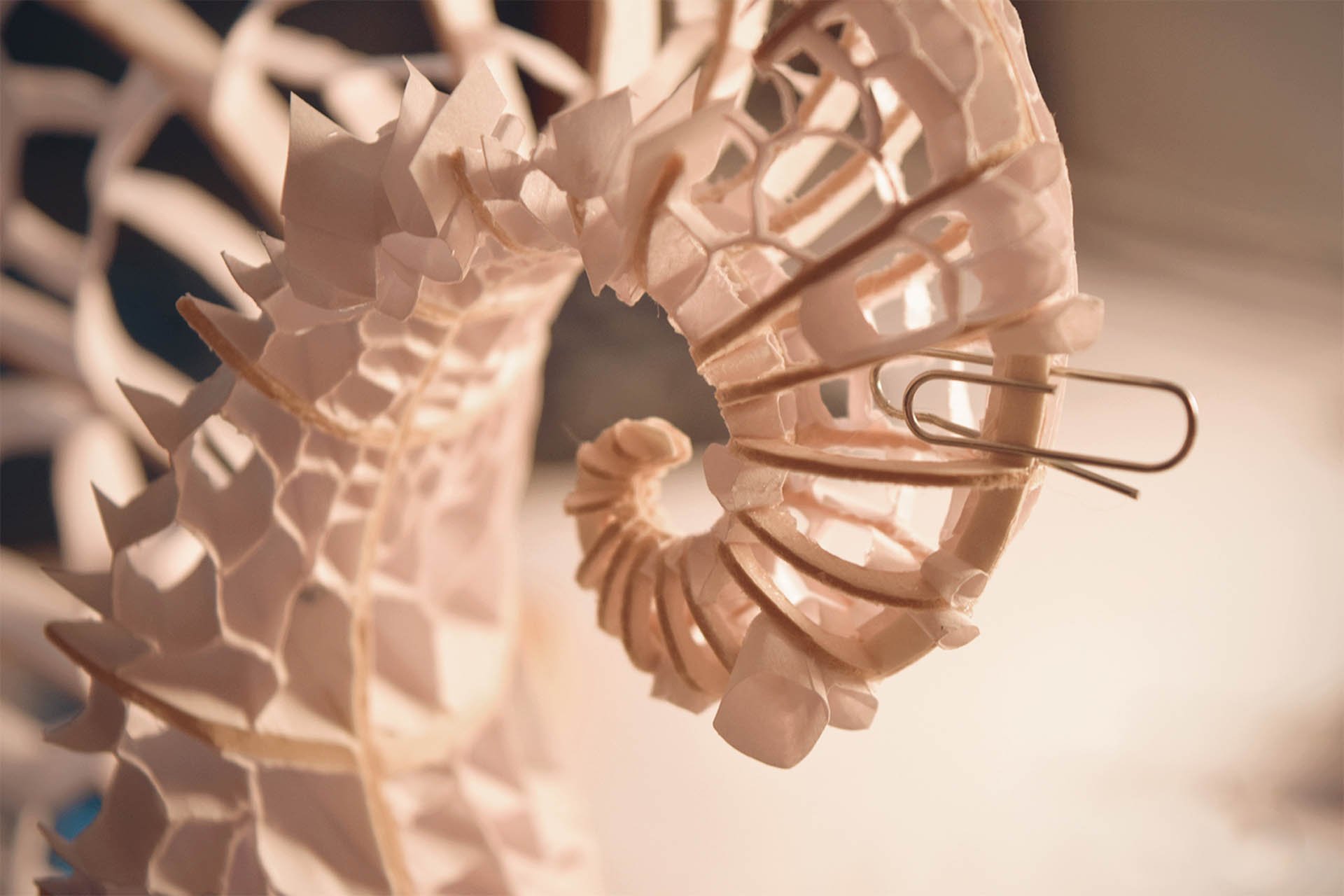 A photograph of tiny pieces of paper glued together to create a hollow curve.