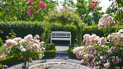 rose garden with arches and bench