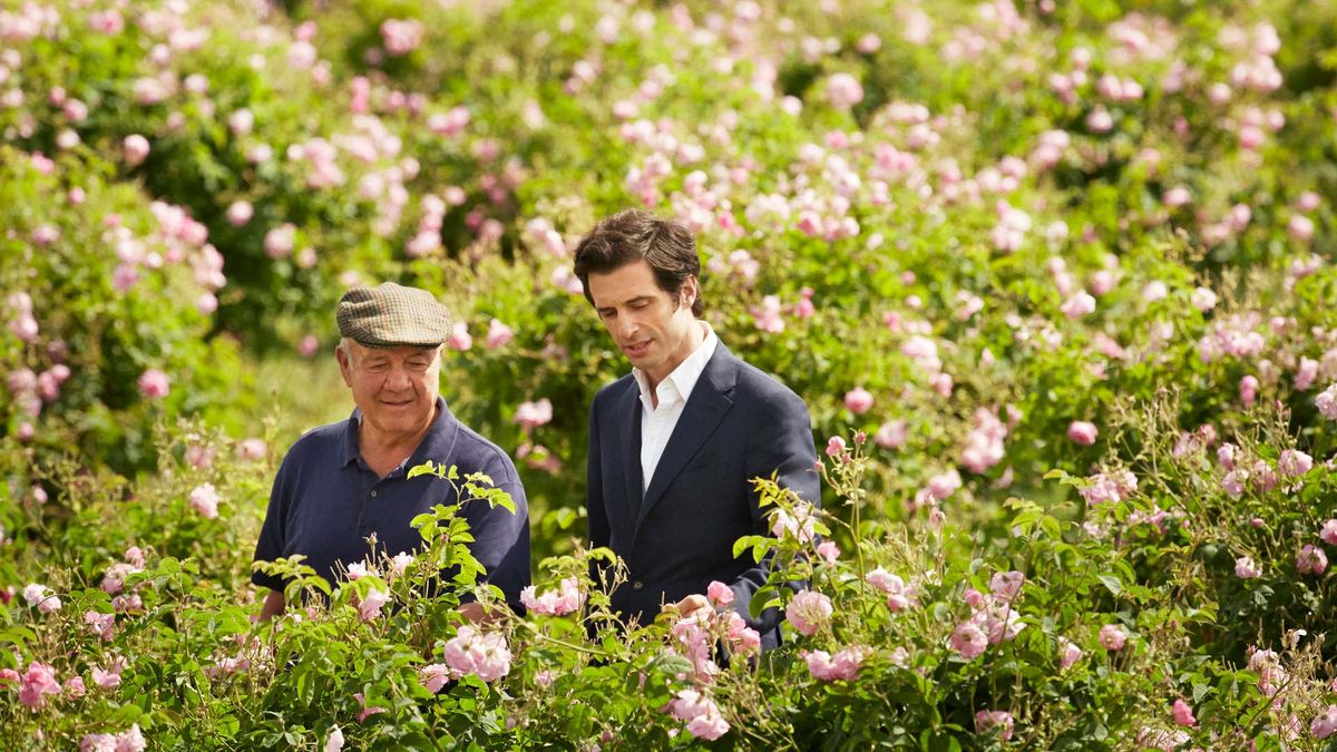Chanel's Grasse fields offer a glimpse behind the perfume-making