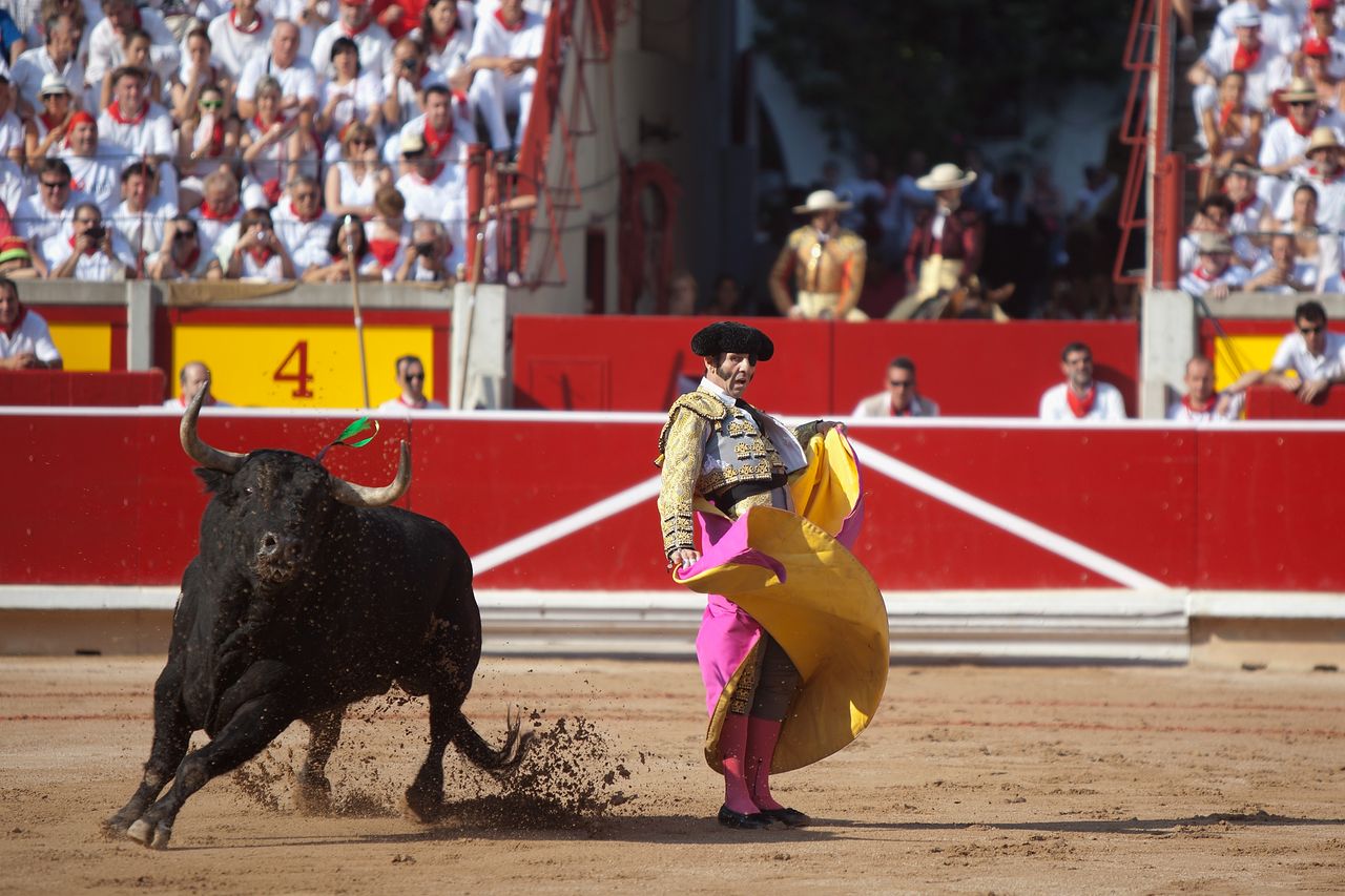 Bullfighting