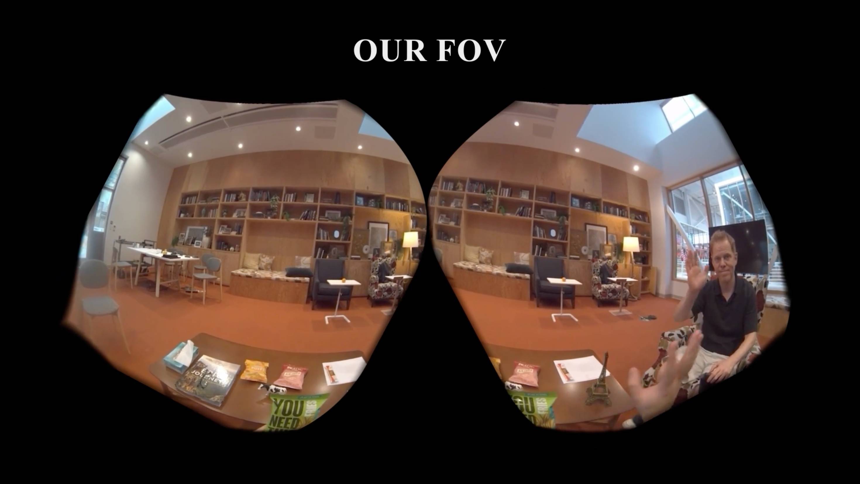 Meta Protoype VR and MR field of view images