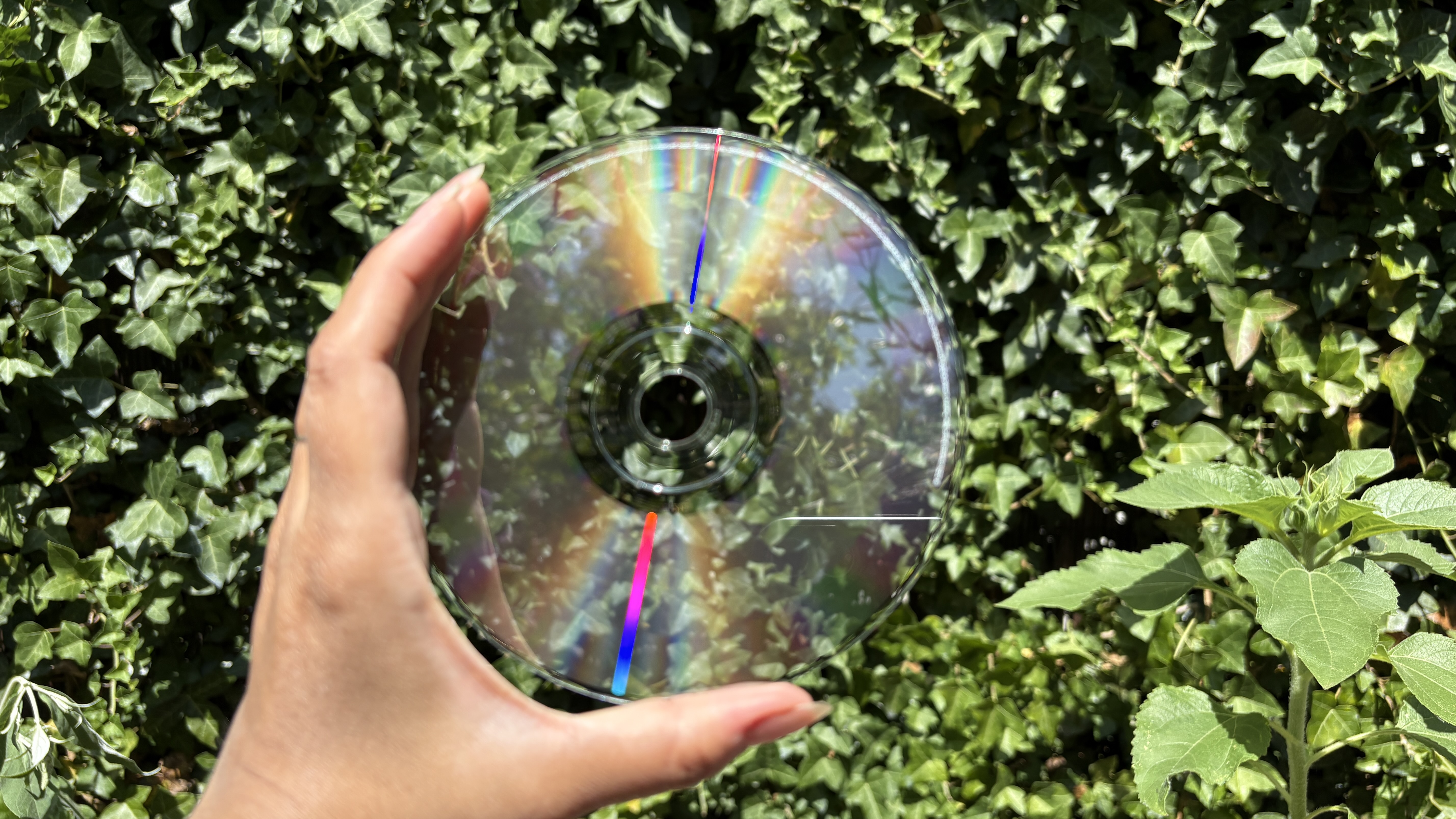 Lorde transparent CD held in hand