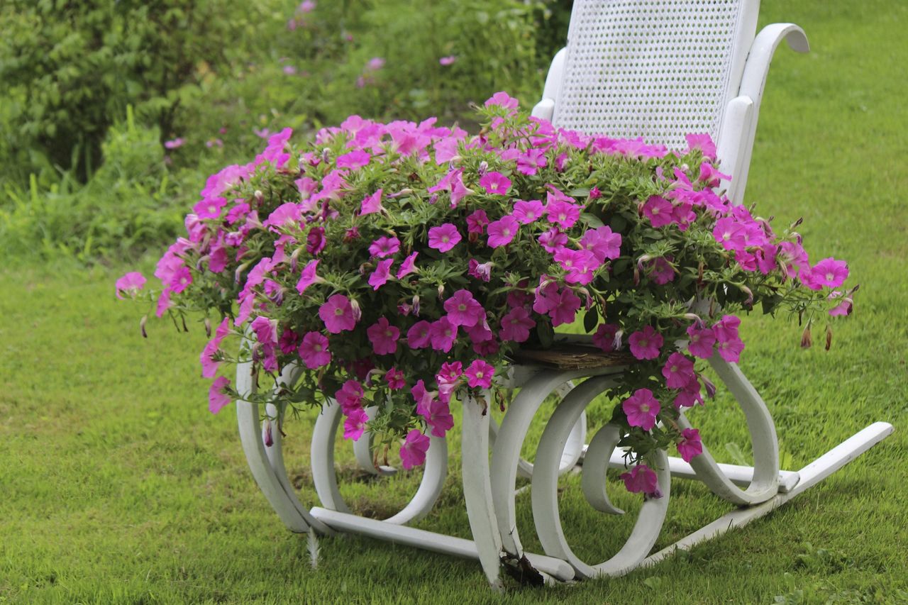 Flower Basket Sitting On White Chair