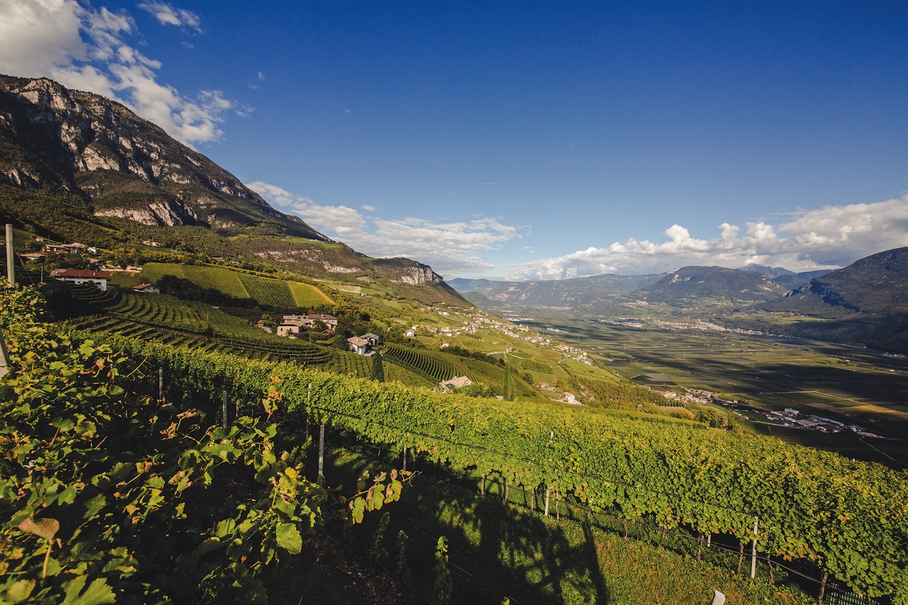 Vineyards on a mountainside