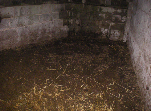 Ponies were stabled in filthy conditions