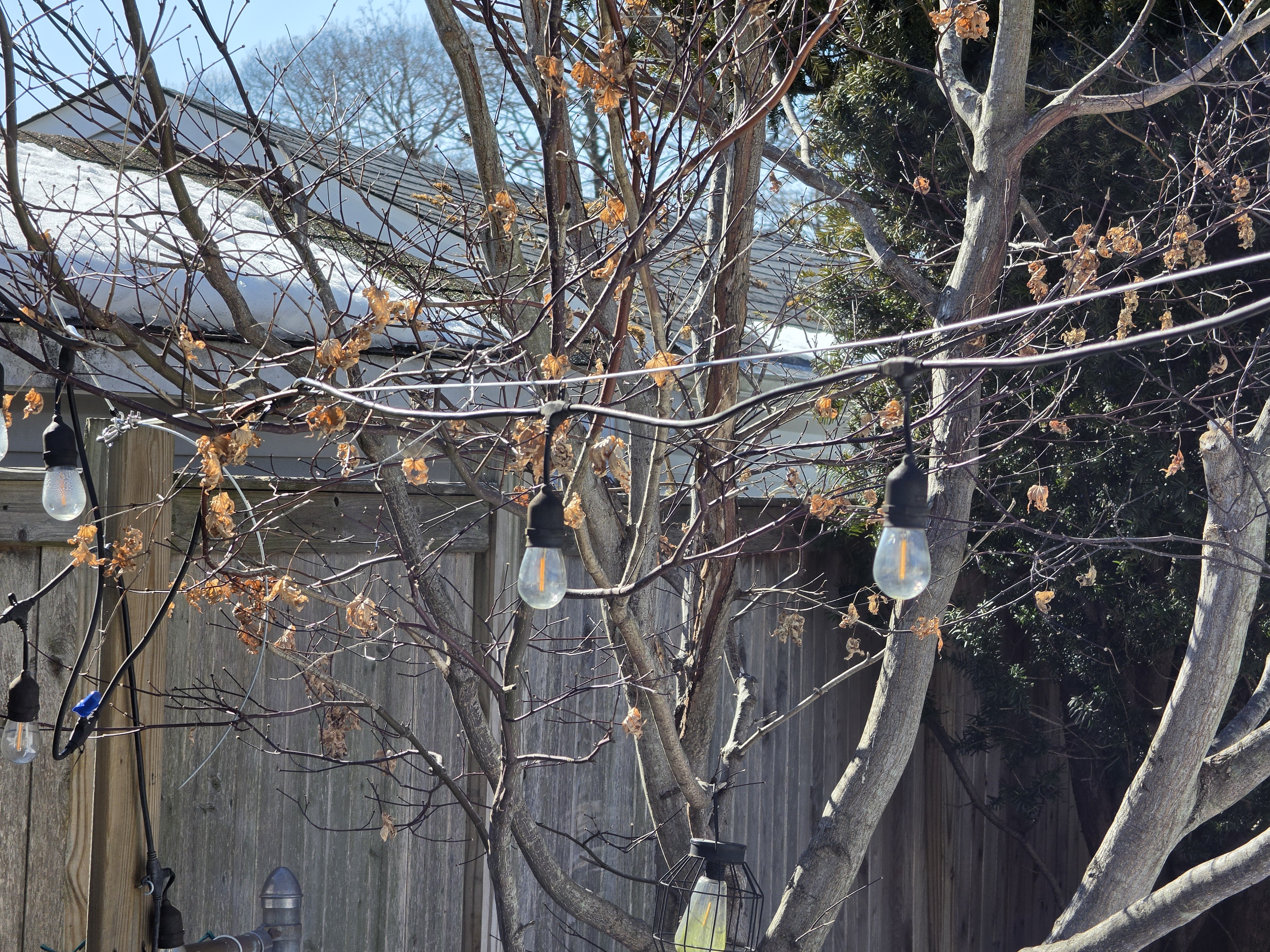 Samsung Galaxy S26 Ultra