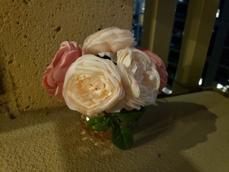 Galaxy S9+ low light camera sample