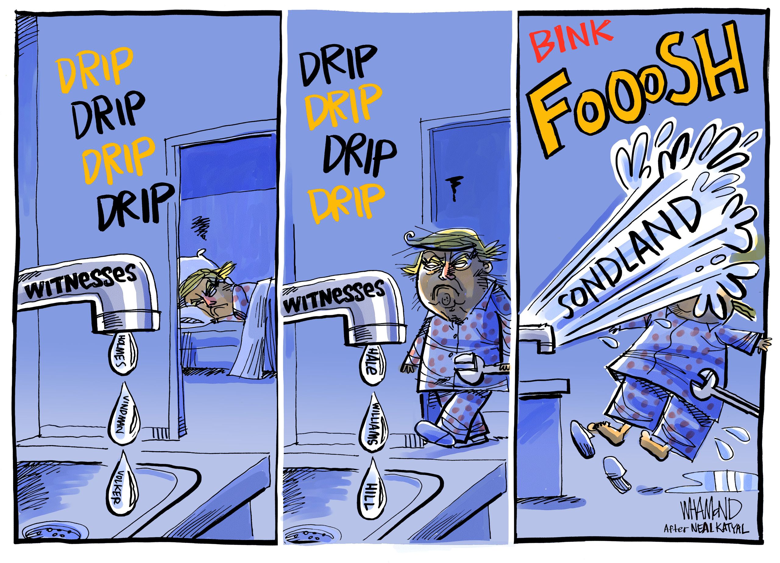 Trump Drip Political Cartoon U.S. Trump Steady Drip Impeachment Witnesses | The Week