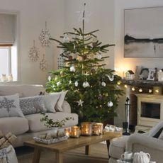 Pale grey living room, large decorated Christmas tree, grey sofa and armchair, festive cushions, wood burning stove, framed print
