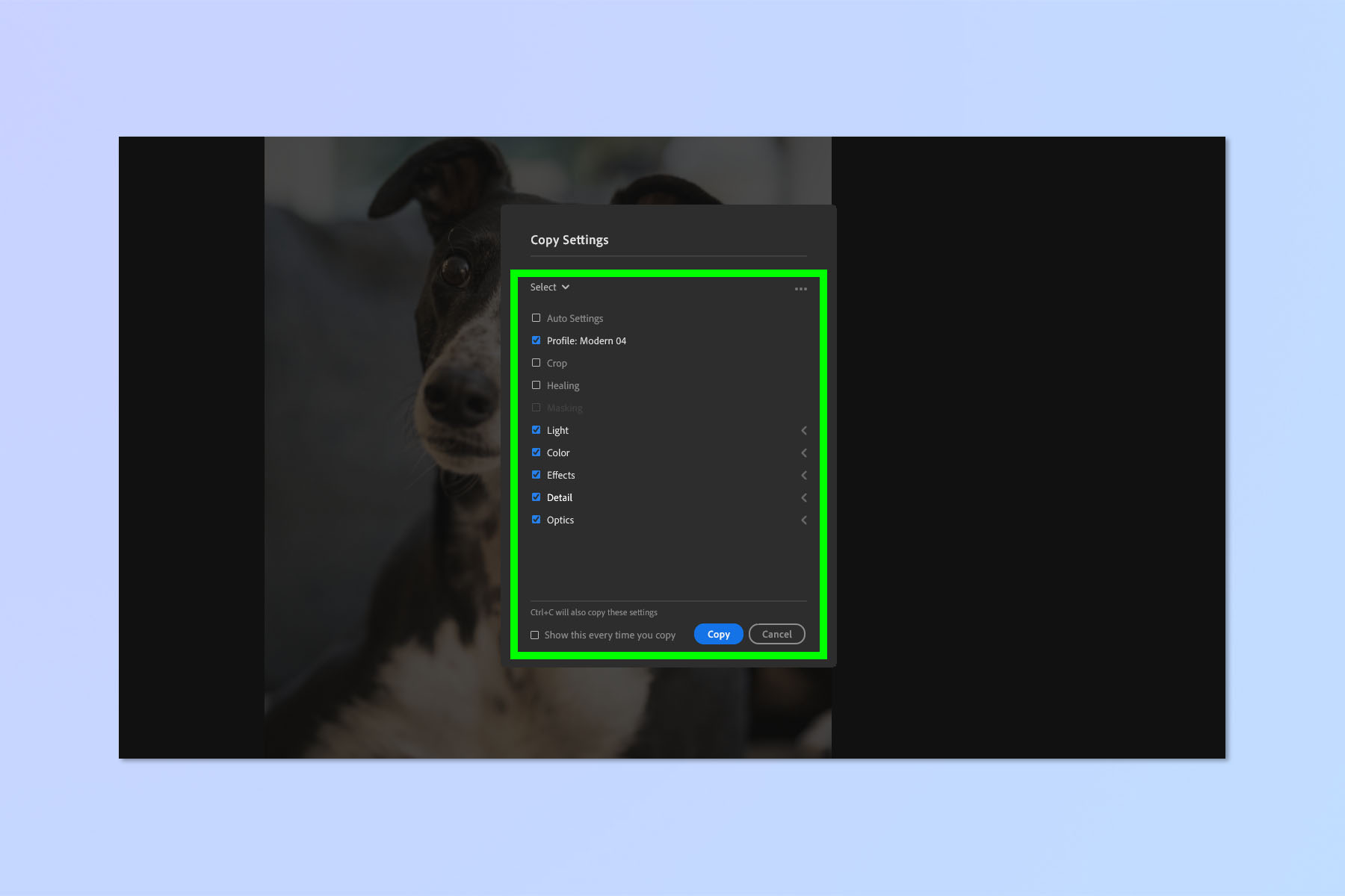 Снимок экрана, показывающий, как копировать и вставлять изменения в Adobe Lightroom.