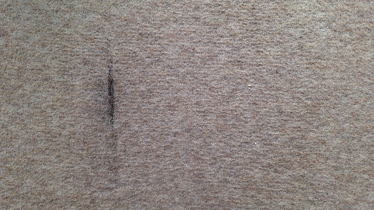 A tiny sprinkling of tea and a couple of oat flakes on the carpeted floor after a single pass in Auto mode