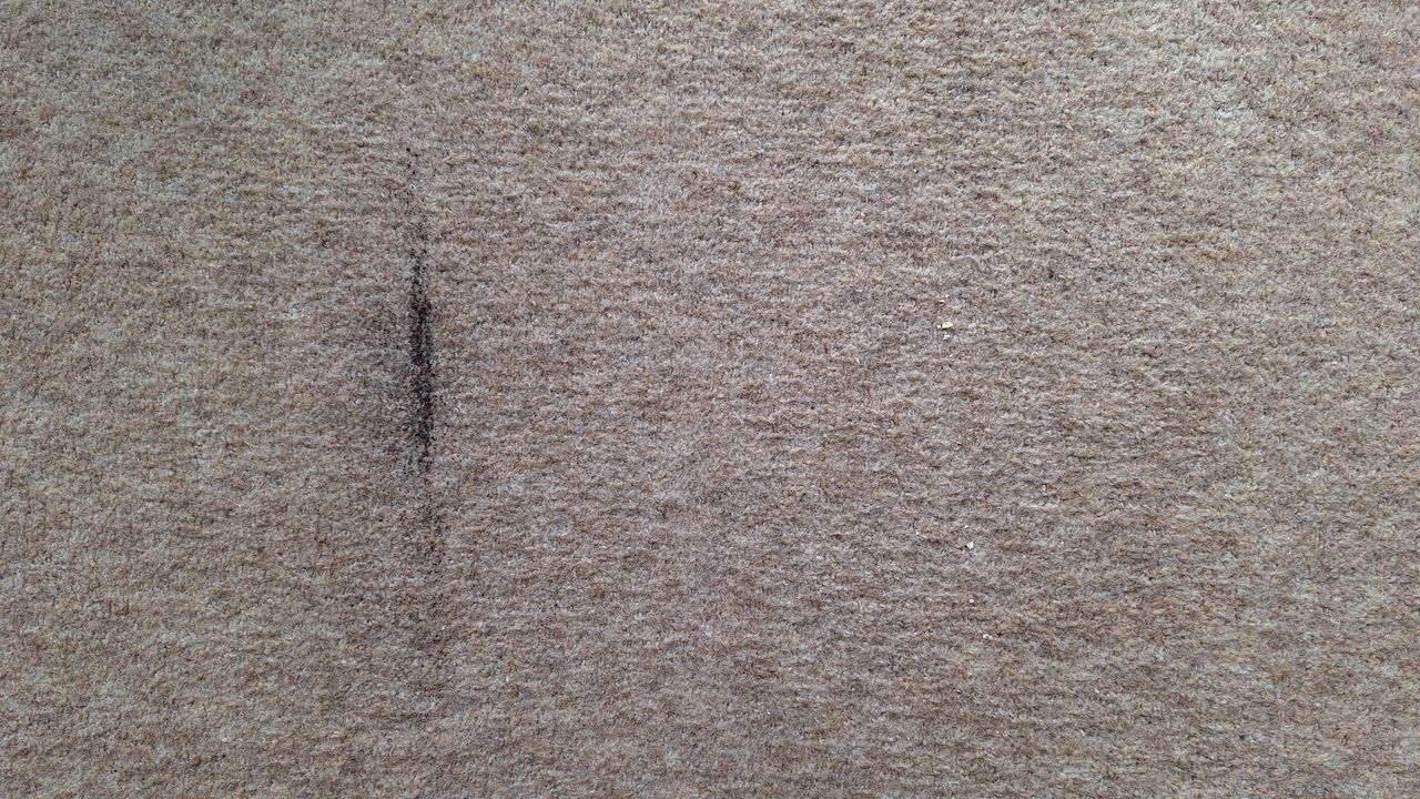 A tiny sprinkling of tea and a couple of oat flakes on the carpeted floor after a single pass in Auto mode