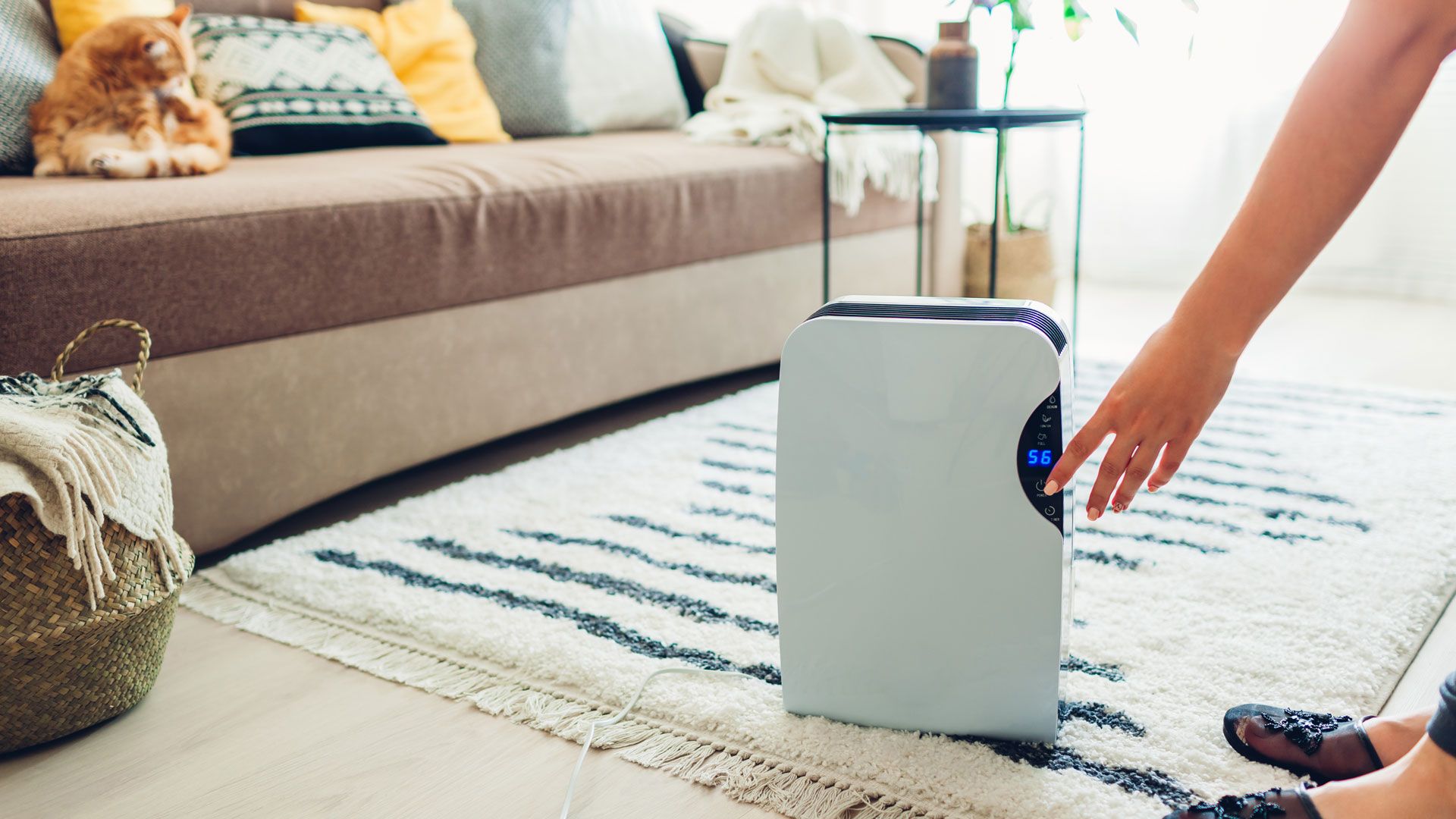 Living room with dehumidifier to show how to prevent condensation on windows