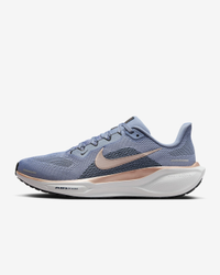 Nike Pegasus 41—women's