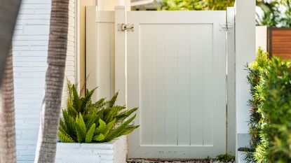 white gate in a backyard