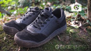 Specialized 2FO Roost flat shoe review