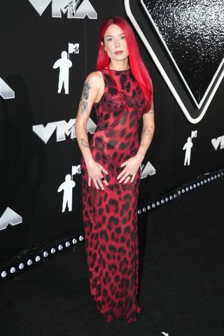 Halsey at the 2024 MTV VMAs in a vintage versace dress