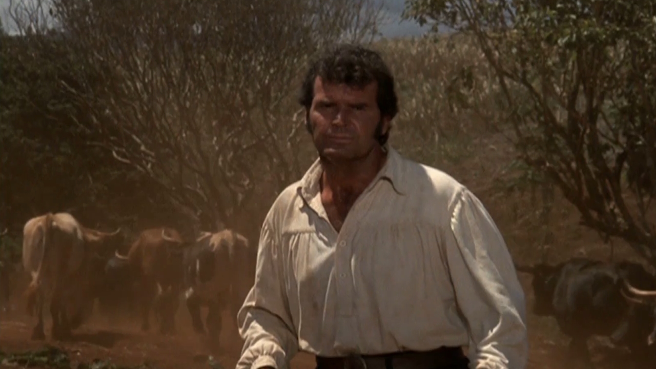 James Garner surrounded by cattle