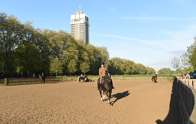 An outdoor school in Hyde Park provides another space for the horses to be kept fit