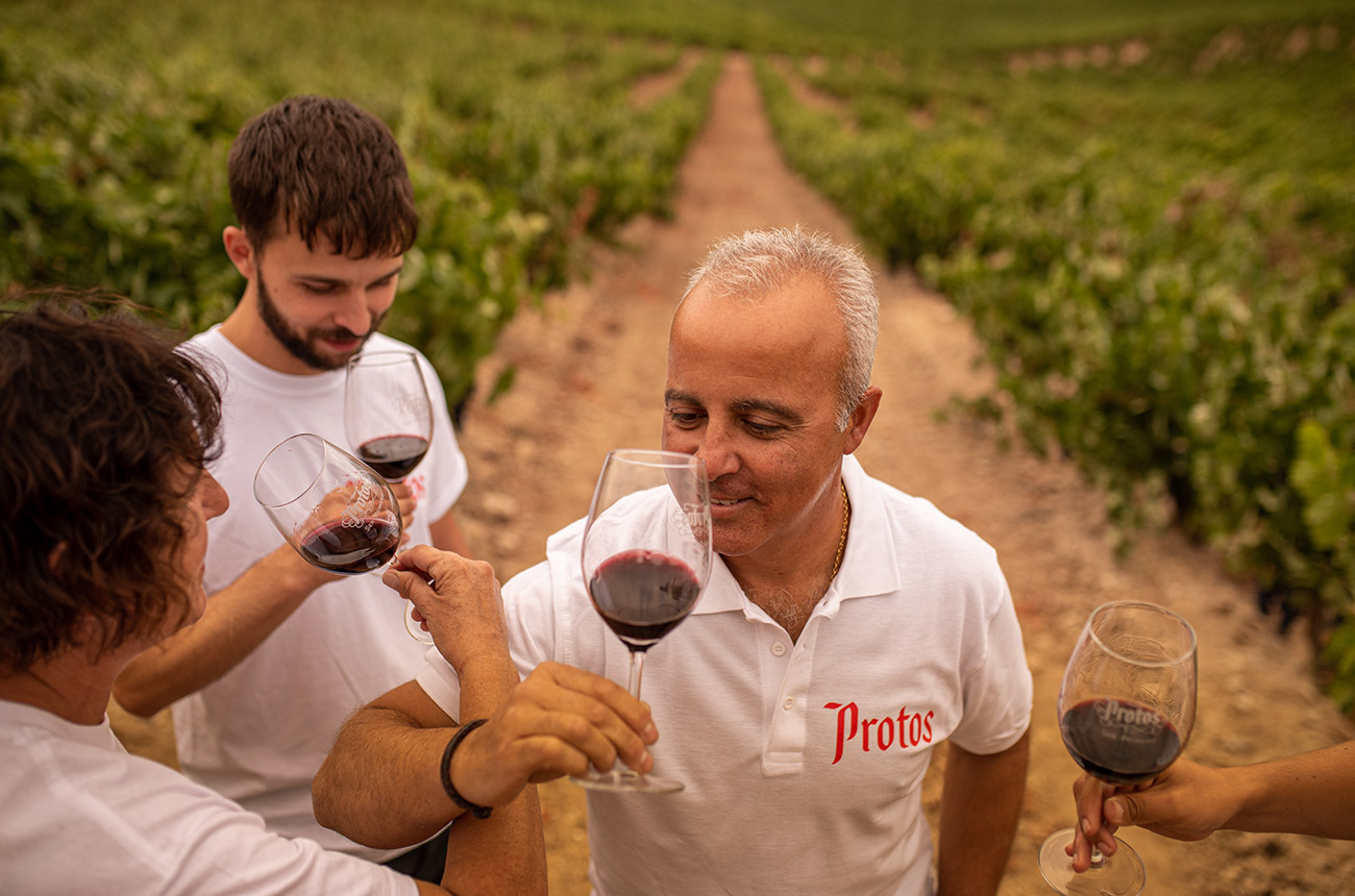 Three men in white 'Protos' polo tops about to sip glasses of red wine, with blurry vines in the background