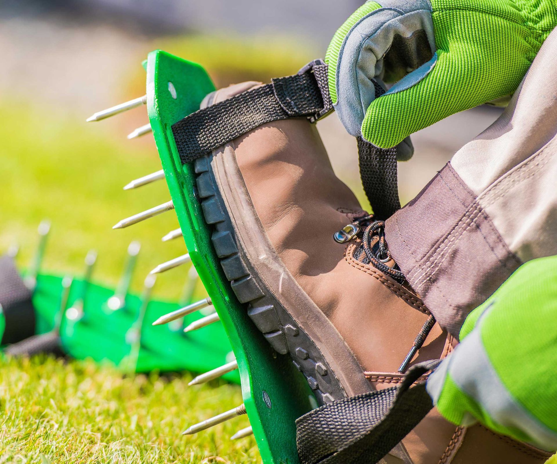 Should I aerate before seeding? expert lawncare advice Homes & Gardens