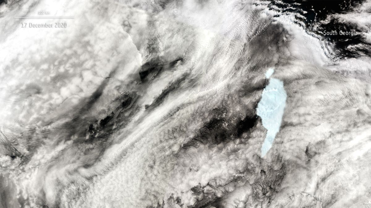 A Dec. 17 image shows A-68a after its big split, likely due to a collision with shallow seabed off the shore of South Georgia.