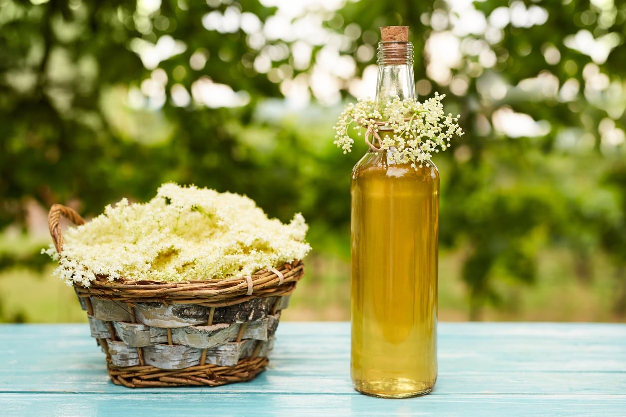 Elderflowers Next To Elderflower Syrup Bottle