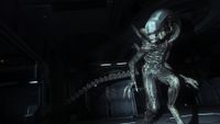 Screenshot from the sci-fi horror video game "Alien: Isolation"