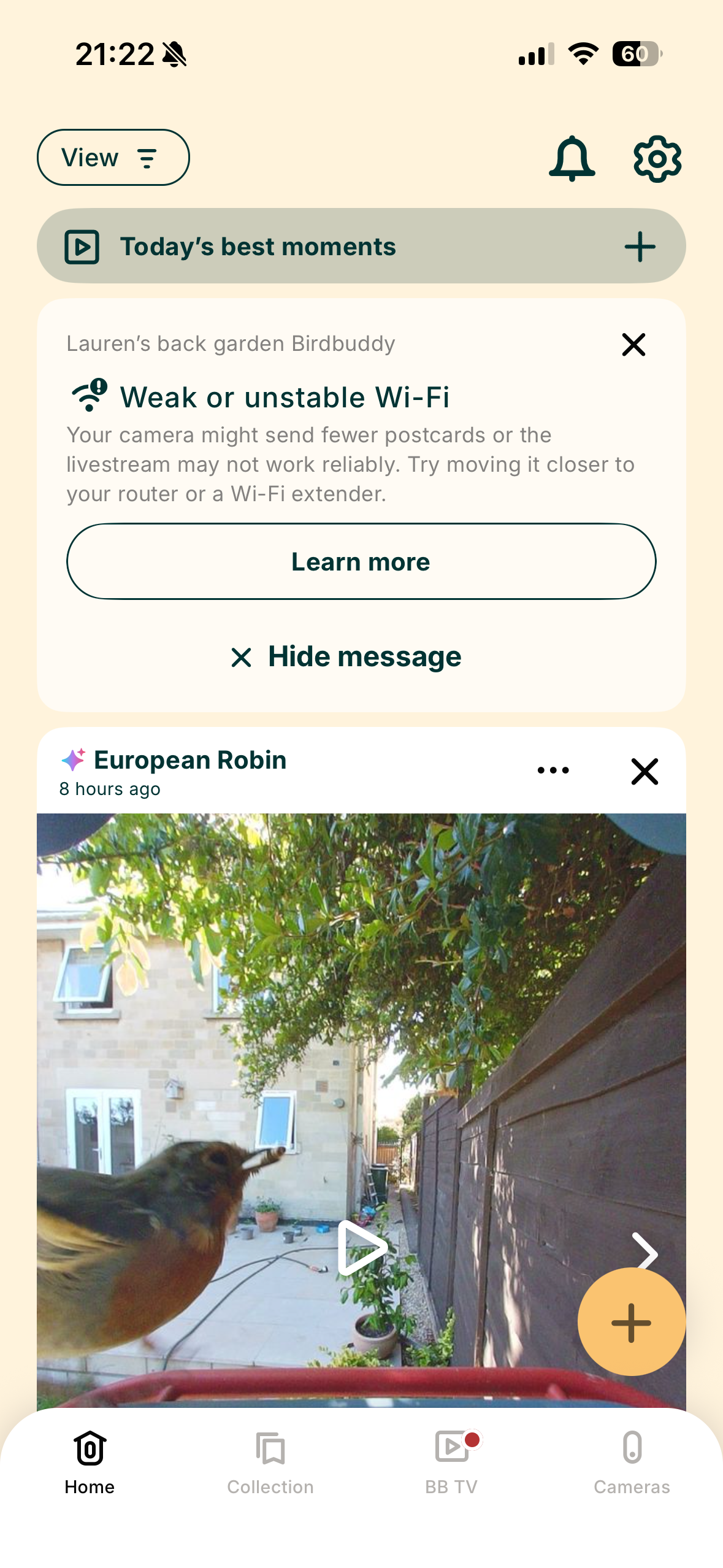 Screenshots from the Bird Buddy app