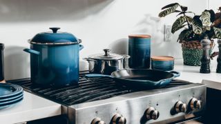 Kitchen bench with oven and blue pan and pots, salt and pepper shakers and a plant