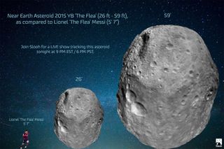 This size comparison shows the size of asteroid 2015 YB as compared to professional soccer player Lionel "The Flea" Messi.