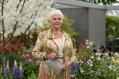 Judi Dench