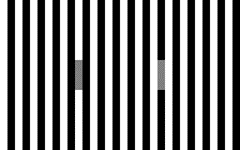 This perplexing optical illusion might hurt your brain... | Creative Bloq