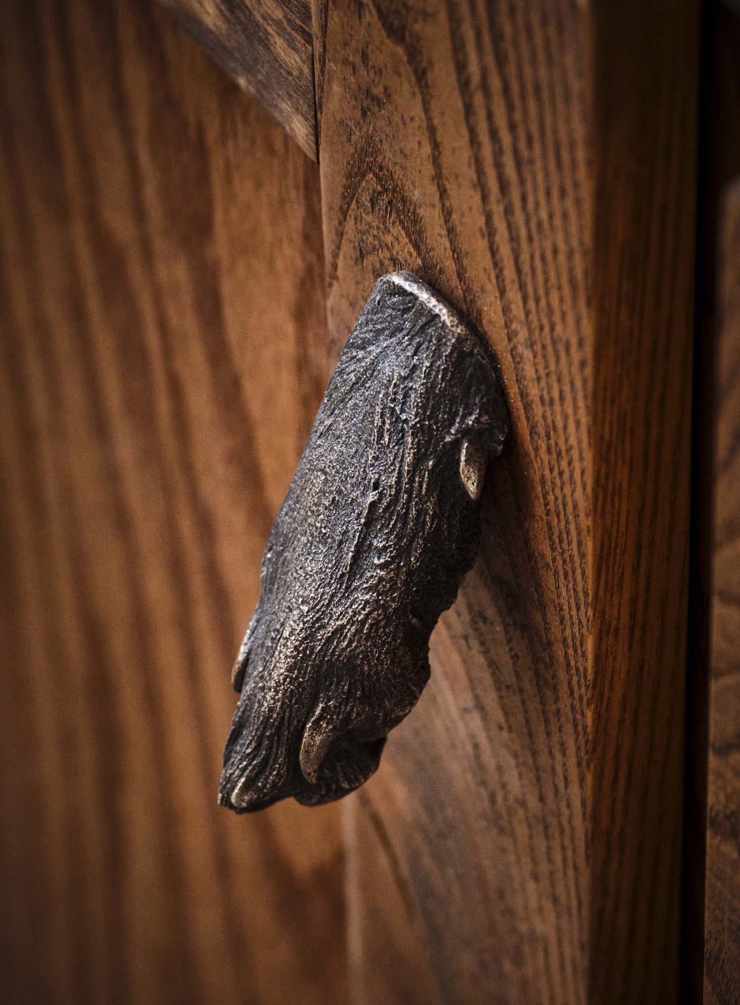 coyote house, home in the desert shaped like an animal's head
