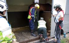 15-09-14-PS-Horse-Rescue-A331-055a.jpg